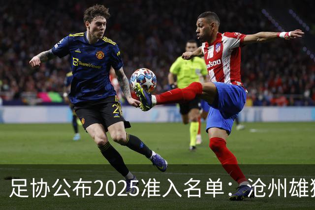 足协公布2025准入名单：沧州雄狮、广州队无缘
